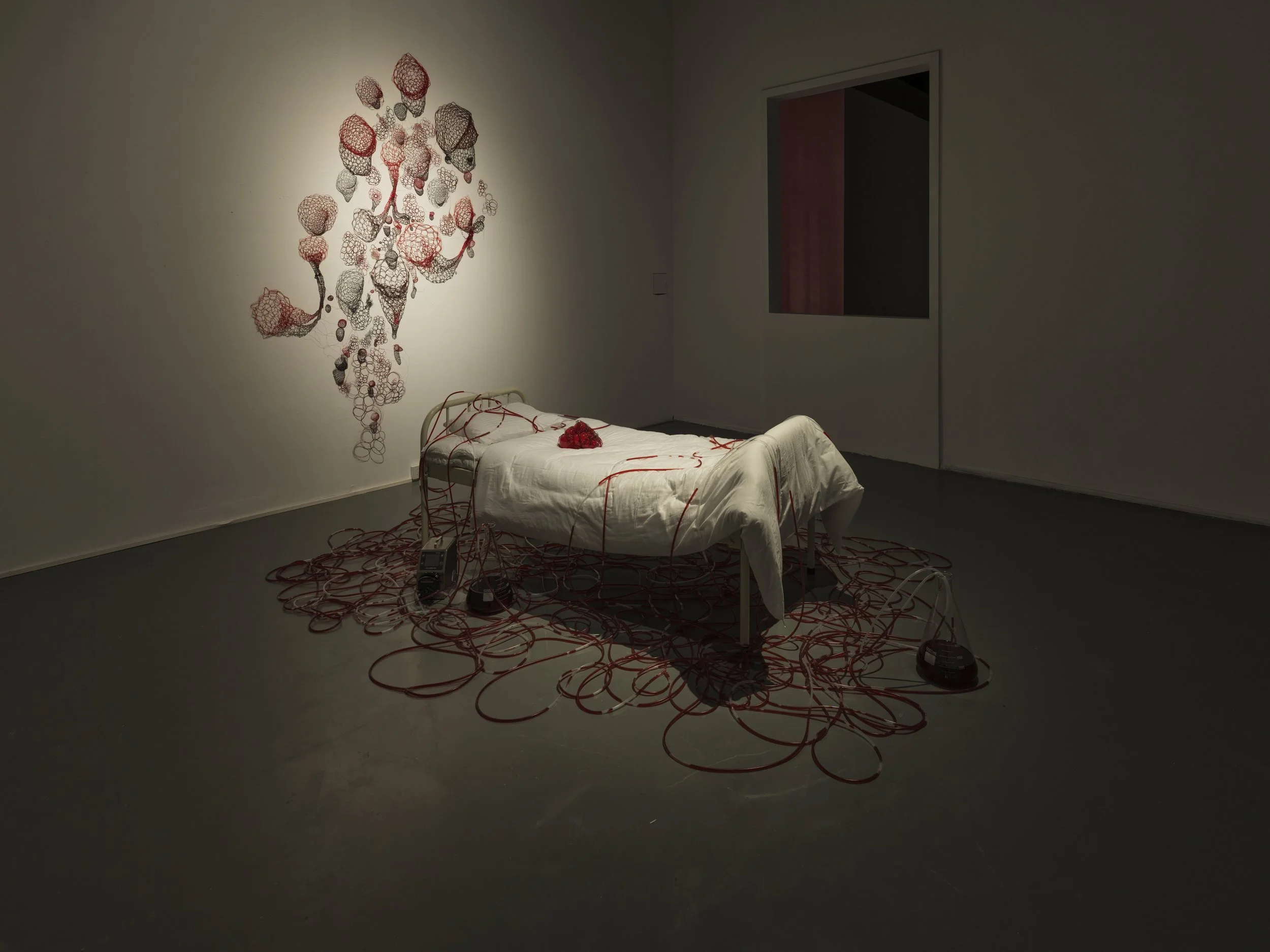CHIHARU SHIOTA–塩田千春